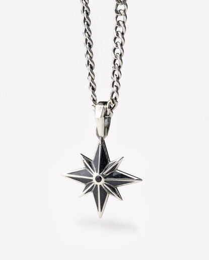 Vertical asteria pendant